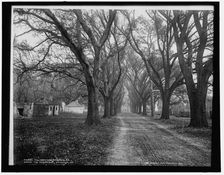 The Hermitage, Savannah, Ga., c1900. Creator: Unknown