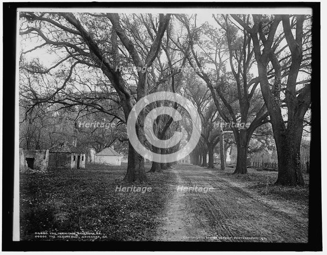 The Hermitage, Savannah, Ga., c1900. Creator: Unknown.