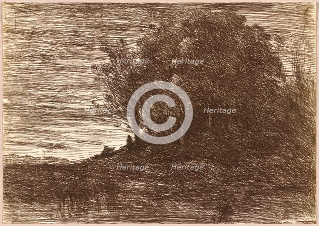 The Hermit's Woods, or the Banks of Lake Trasimène (Le Bois de l'Hermite, ou les...), 1858. Creator: Jean-Baptiste-Camille Corot.