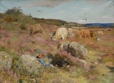 The Herd Girl, 1902 - 1906. Creator: William Walls