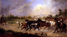 The herd of bulls oil by Fernando de Paula Bringas