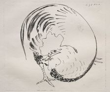 The High-Fired Service: Rooster (counterproof), c. 1860. Creator: Félix Bracquemond (French, 1833-1914)