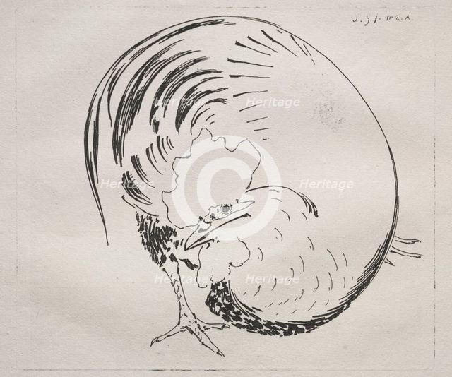 The High-Fired Service: Rooster (counterproof), c. 1860. Creator: Félix Bracquemond (French, 1833-1914).