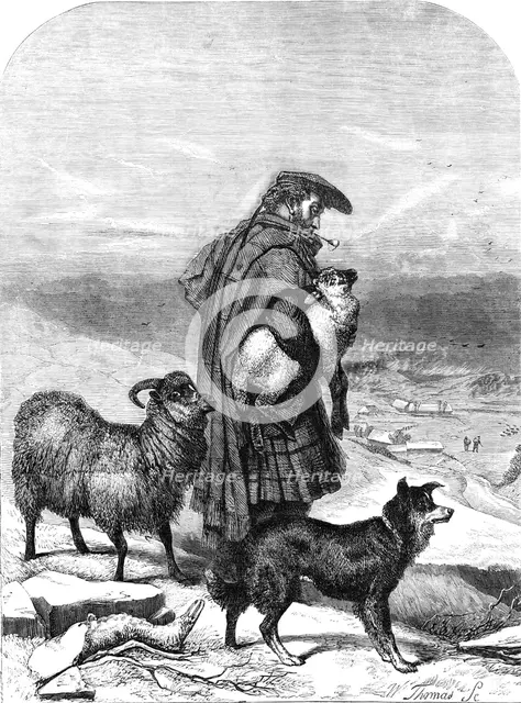 The Highland Shepherd - painted by R. Ansdell - from the Exhibition of the Royal Academy, 1856.  Creator: W Thomas.