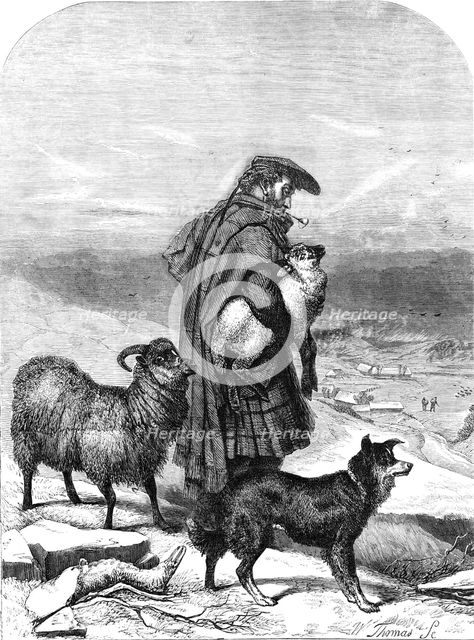 The Highland Shepherd - painted by R. Ansdell - from the Exhibition of the Royal Academy, 1856.  Creator: W Thomas.
