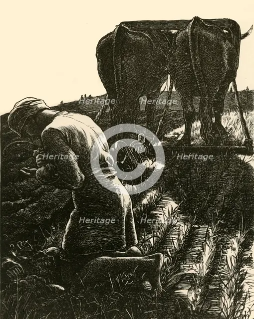 'The Hidden Treasure', 1864, (1928).  Creator: Dalziel Brothers.
