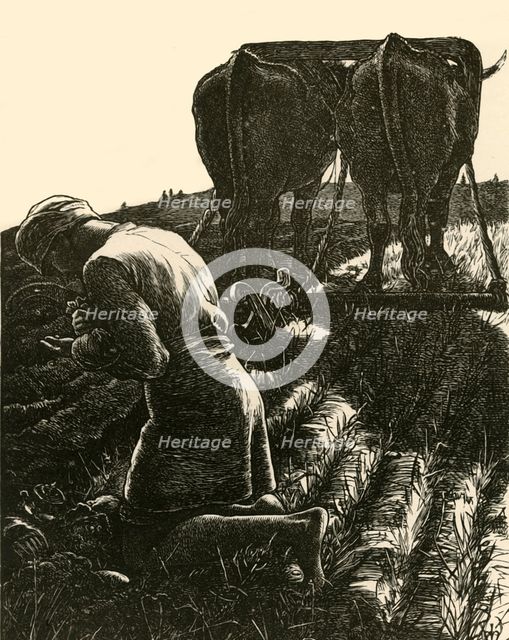'The Hidden Treasure', 1864, (1928).  Creator: Dalziel Brothers.