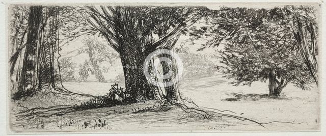 The Holly Field. Creator: Francis Seymour Haden (British, 1818-1910).