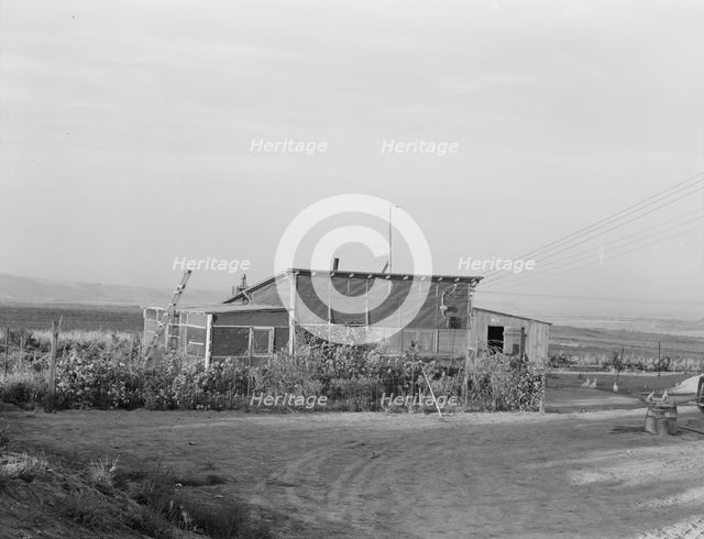 The home of a new farmer who has successfully established himself on the raw land, 1939. Creator: Dorothea Lange.