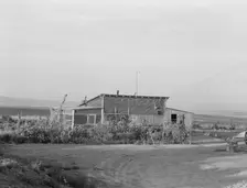 The home of a new farmer who has successfully established himself on the raw land, 1939. Creator: Dorothea Lange