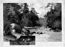 The Homes of Irish Landlords - No. I. Curraghmore: views in the park, 1895. Creator: Unknown