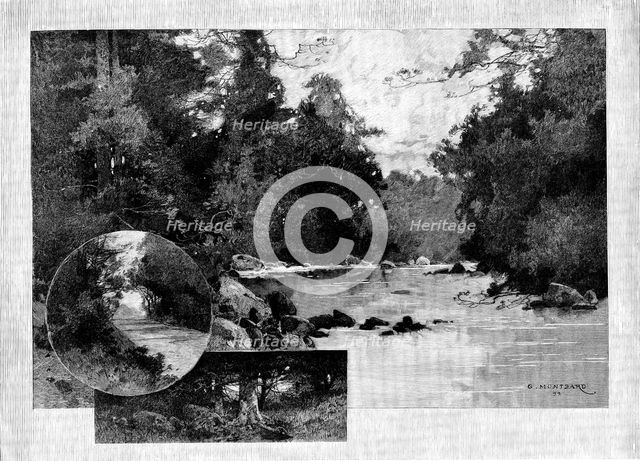 The Homes of Irish Landlords - No. I. Curraghmore: views in the park, 1895. Creator: Unknown.