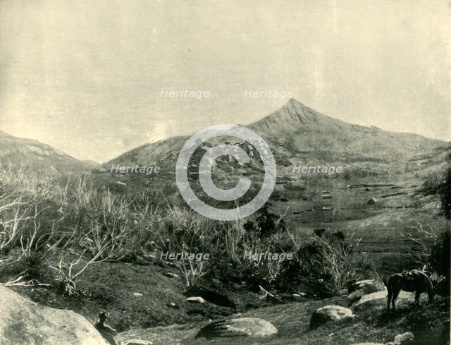 'The Horn, Buffalo Mountains, Victoria', 1901. Creator: Unknown.