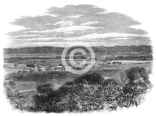 The Hordley Estate, Morant Bay, Jamaica, 1865. Creator: Unknown.