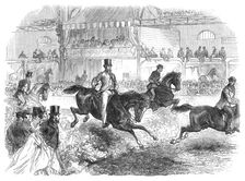 The Horse Show at Islington: trying the hunters, 1864. Creator: Unknown