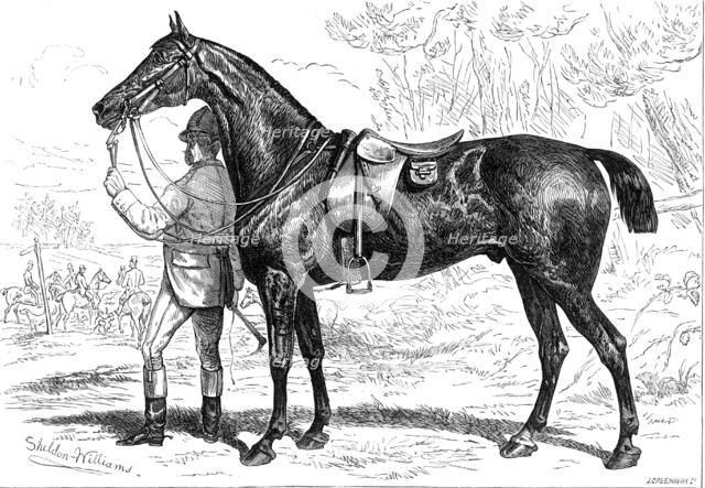 The Horse Show at the Agricultural Hall, Islington: Mr. W. Armstrong's hunter, "Cashier", 1874. Creator: Unknown.