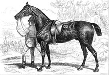 The Horse Show at the Agricultural Hall, Islington: Mr. W. Armstrong's hunter, "Cashier", 1874. Creator: Unknown