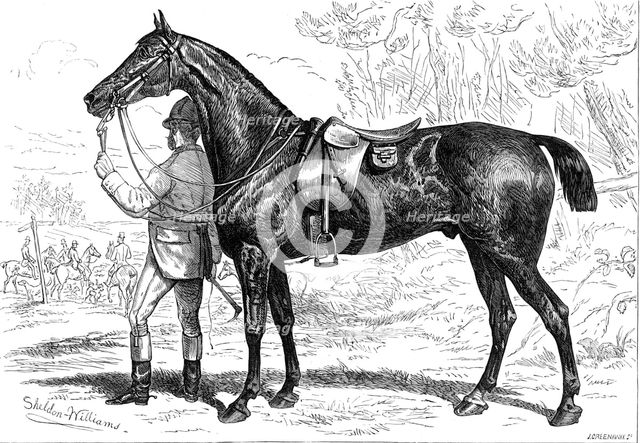 The Horse Show at the Agricultural Hall, Islington: Mr. W. Armstrong's hunter, "Cashier", 1874. Creator: Unknown.