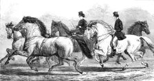 The Horse-Show at the Agricultural Hall Islington: parade of prize horses..., 1868. Creator: Unknown