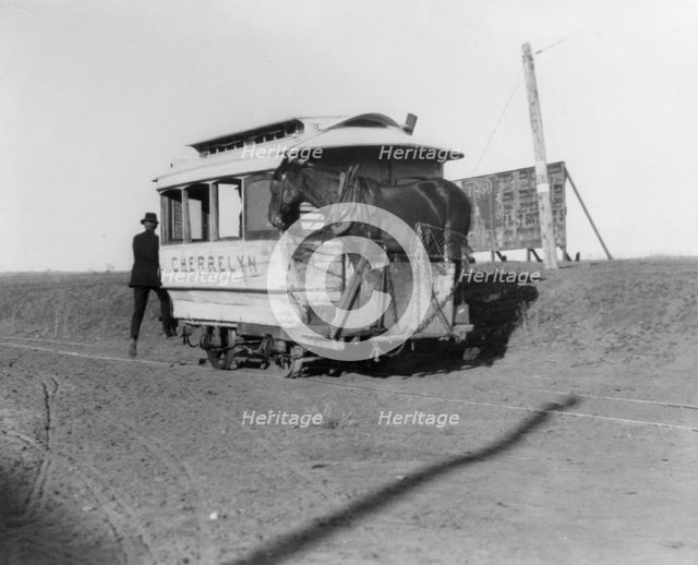 The horsecar "Cherrelyn" with a horse aboard - Denver, Colorado, 1903. Creator: Frances Benjamin Johnston.