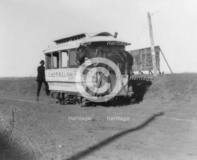 The horsecar "Cherrelyn" with a horse aboard - Denver, Colorado, 1903. Creator: Frances Benjamin Johnston.