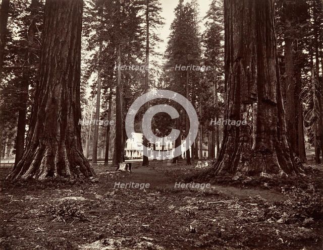 The Hotel from Mammoth Grove, ca. 1872, printed ca. 1876. Creator: Carleton Emmons Watkins.