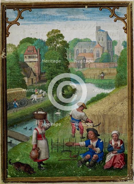 The Hours of Hennessy (Hours of Notre-Dame). Labors of the Months: August, c1530. Creator: Bening, Simon, (Workshop) (ca 1483-1561).