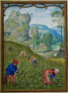 The Hours of Hennessy (Hours of Notre-Dame). Labors of the Months: October, c1530. Creator: Bening, Simon, (Workshop) (ca 1483-1561)
