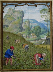 The Hours of Hennessy (Hours of Notre-Dame). Labors of the Months: October, c1530. Creator: Bening, Simon, (Workshop) (ca 1483-1561)