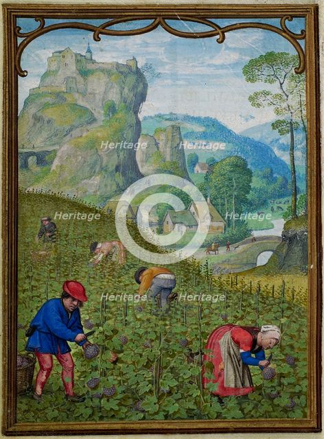 The Hours of Hennessy (Hours of Notre-Dame). Labors of the Months: October, c1530. Creator: Bening, Simon, (Workshop) (ca 1483-1561).