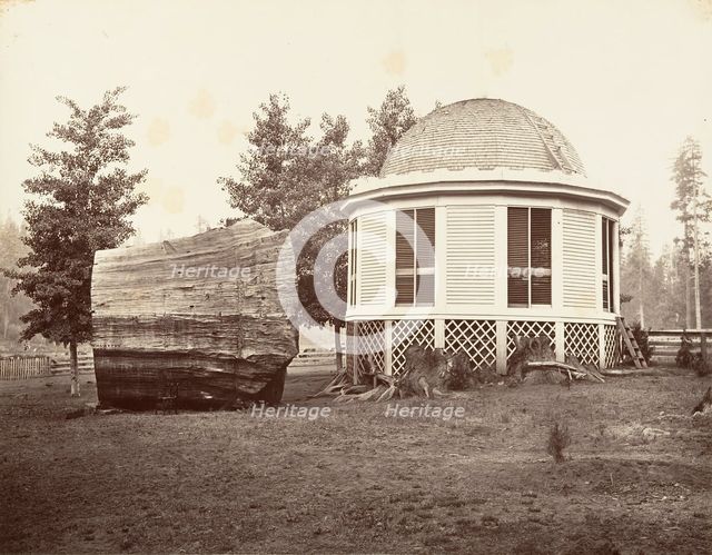 The House over a Stump of a Big Tree, 1865-66, printed ca. 1876. Creator: Carleton Emmons Watkins.
