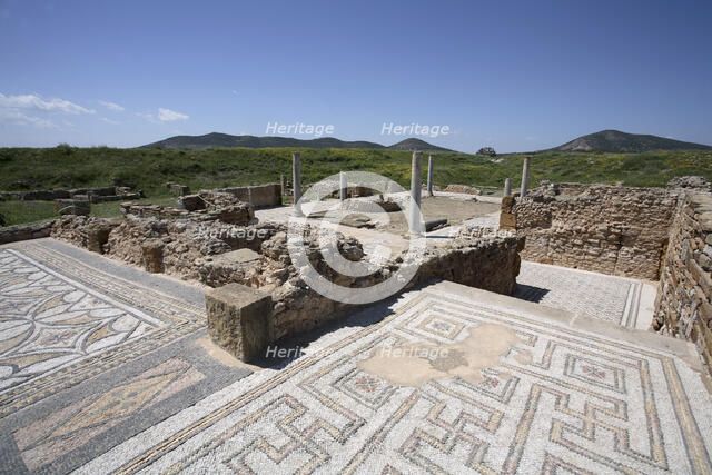 The House of Neptune, Thuburbo Majus, Tunisia. Artist: Samuel Magal