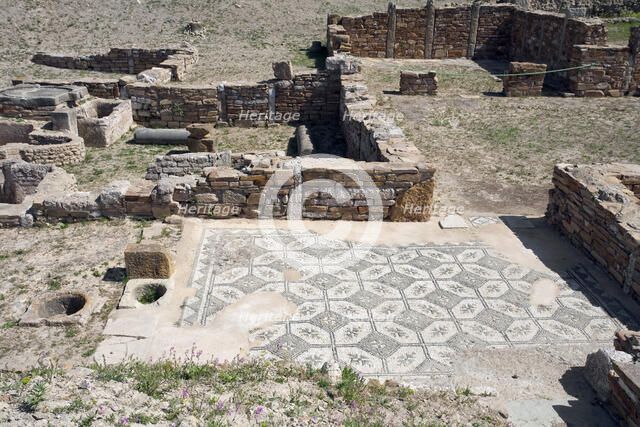 The House of the Dressed Animals, Thuburbo Maius, Tunisia. Artist: Samuel Magal