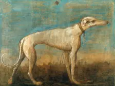 The Italian Sighthound, c. 1793. Creator: Tiepolo, Giambattista (1696-1770)