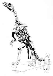 The Iguanodon, 1895. Creator: Carl Hentschel