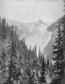 The Illicilliwaet Glacier 19th century