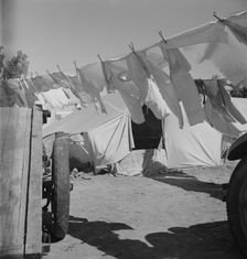 The incessant struggle for cleanliness amid dust and dirt, Imperial County, California, 1937. Creator: Dorothea Lange