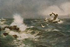 The Inchcape Rock 1908, (c1930). Creator: Peter Graham