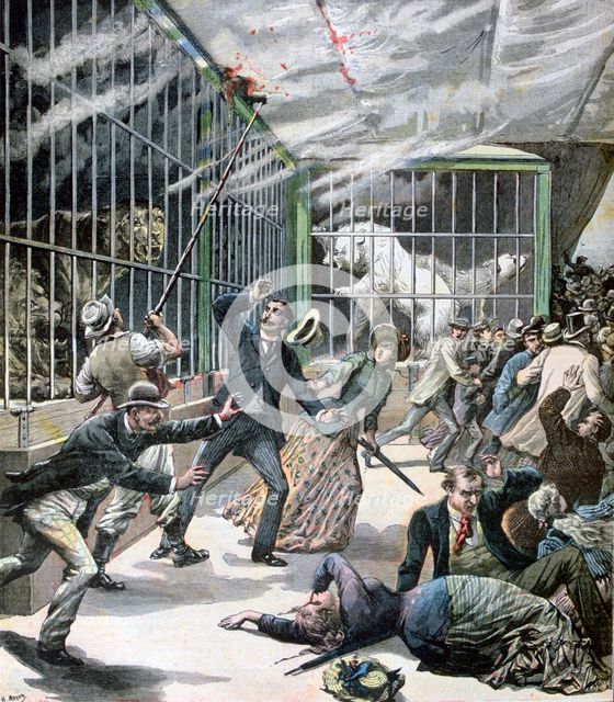 The incident at the menagerie, Montceau-les-Mines, France, 1891. Artist: Henri Meyer