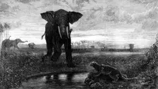 "The Indian Desert", by Decamps, 1871. Creator: J Greenaway