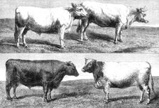 The International Cattle Show at Poissy, 1862. Creator: Harrison Weir