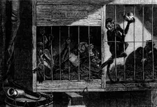 The International Exhibition - "The Bad Neighbours", by C. Verlat, 1862. Creator: Unknown