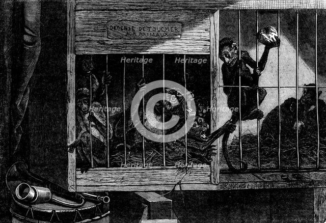 The International Exhibition - "The Bad Neighbours", by C. Verlat, 1862. Creator: Unknown.