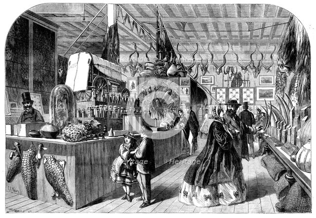 The International Exhibition - View in the Natal Court, 1862. Creator: Mason Jackson.