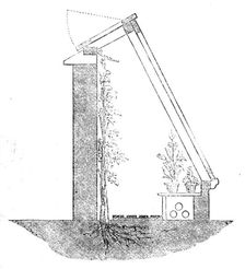 The International Exhibition: Weeks glass wall, 1862. Creator: Unknown
