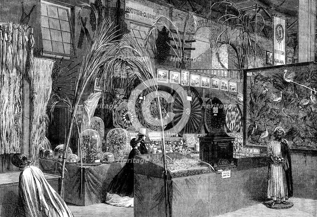 The International Exhibition: British Guiana and Barbadoes Courts..., 1862. Creator: Unknown.