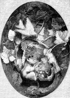 The International Exhibition: "Linnets Defending their Nest against a Dormouse"..., 1862. Creator: Unknown