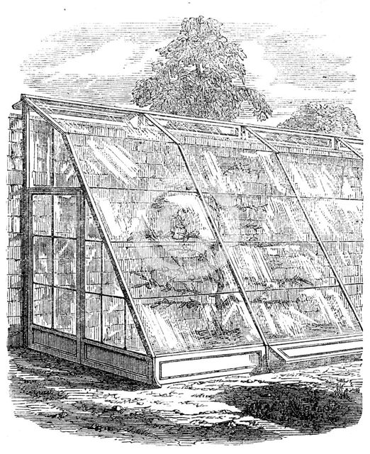 The International Exhibition: Scott's glass walls, 1862. Creator: Unknown.
