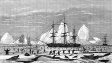 The International Fisheries Exhibition: model to illustrate seal-hunting, Newfoundland Section, 1883 Creator: Unknown