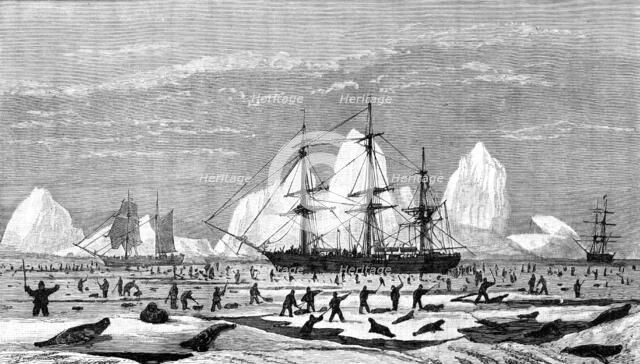 The International Fisheries Exhibition: model to illustrate seal-hunting, Newfoundland Section, 1883 Creator: Unknown.